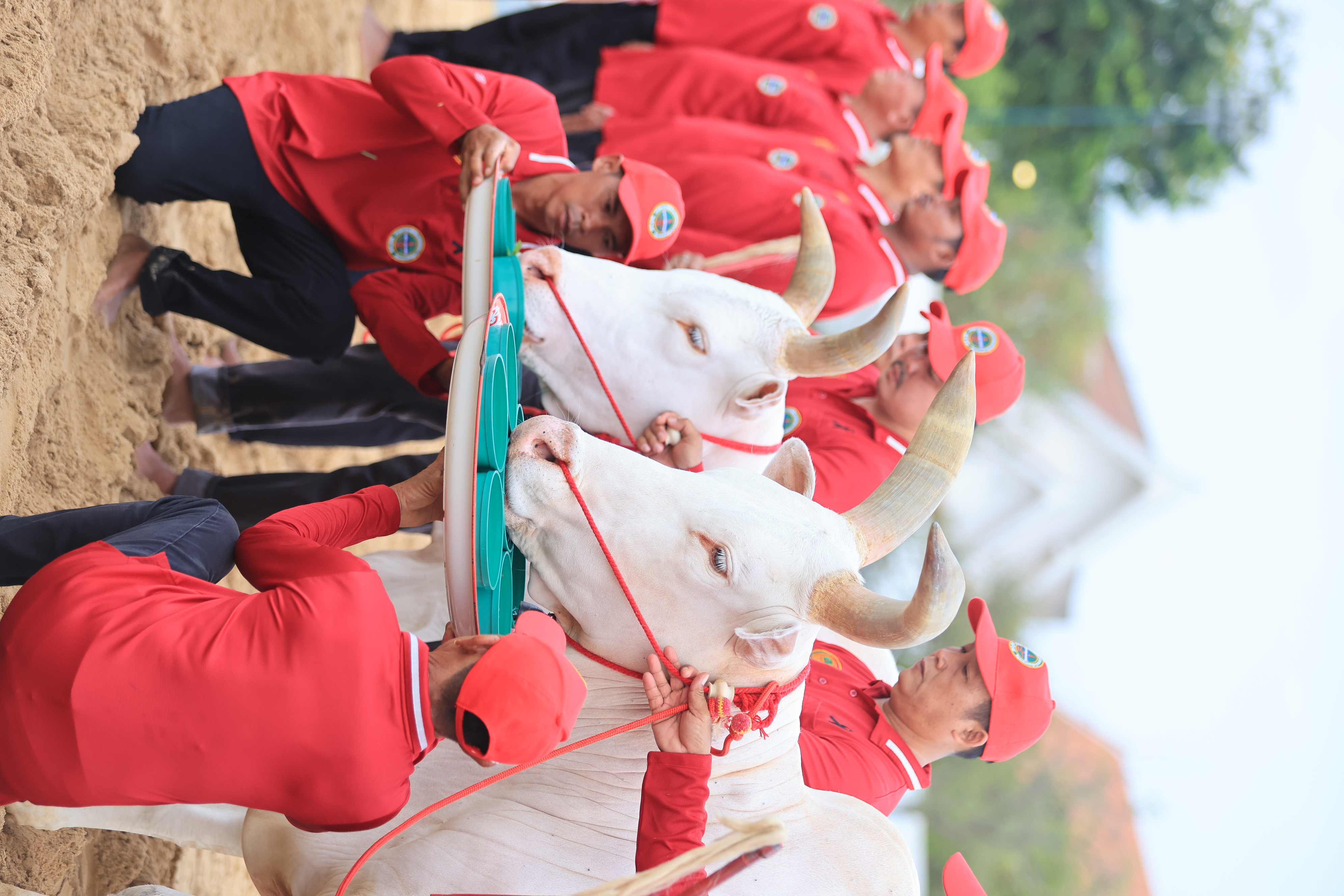 title - ส.ป.ก. ร่วมซ้อมย่อย ครั้งที่ 2 พระราชพิธีพืชมงคลจรดพระนังคัลแรกนาขวัญ ประจำปีพุทธศักราช 2569